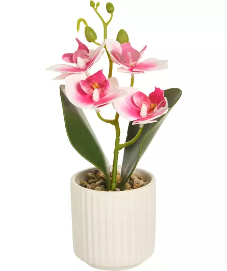 Orchidee kunst bloem
