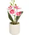 Orchidej umělá květina růžová/bílá