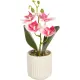 Kunstblume Orchidee