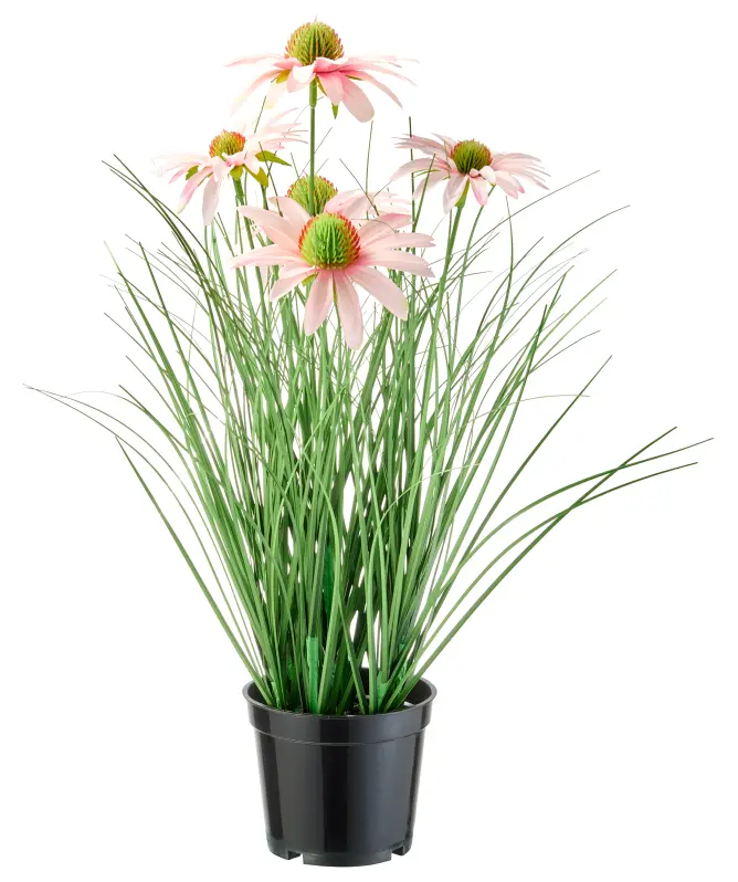 Kunstblume
