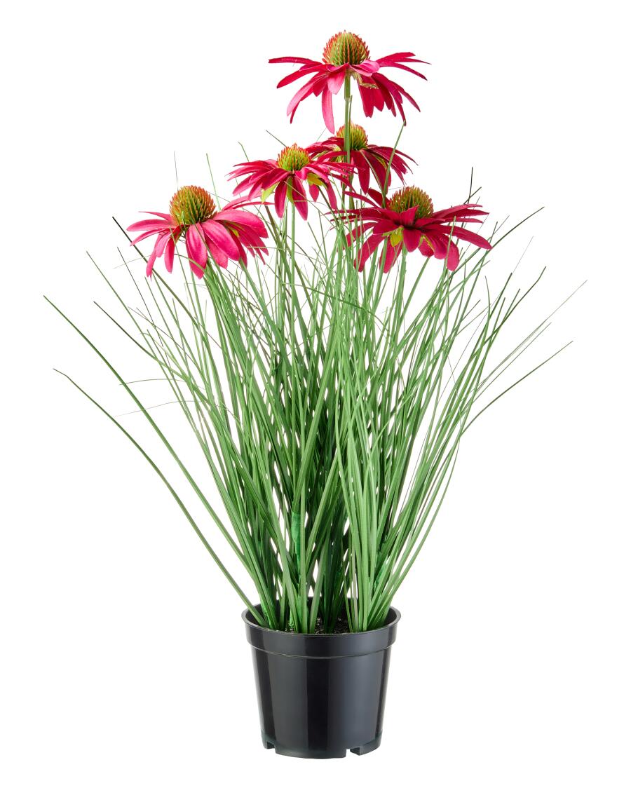 Kunstblume lila