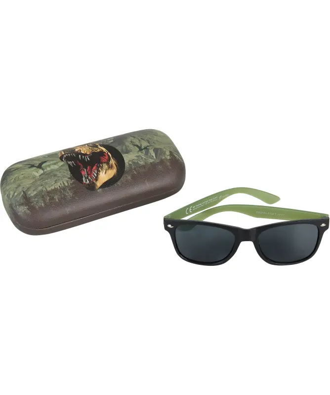 Sonnenbrille und Etui
