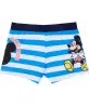 wit/blauw