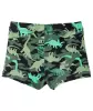 jungen-badehose-dinosaurier-schwarz-119959810000_1000_NB_L_EP_01.jpg