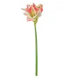 Kunstblume
