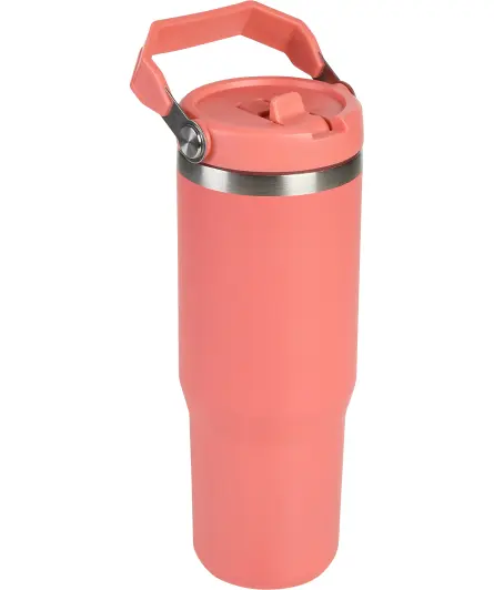 Termohrnek s brčkem