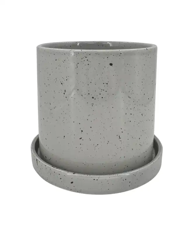 Blumentopf mit Untersetzer