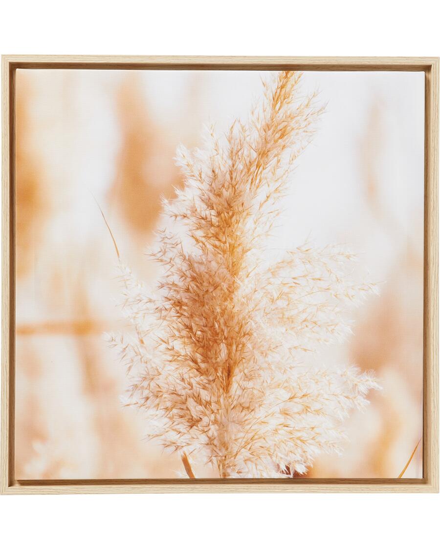 Leinwandbild naturfarben