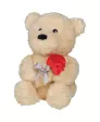 plueschtier-baer-beige-120070081430_8143_HB_H_KIK_01.jpg