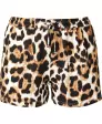 Leopardendruck