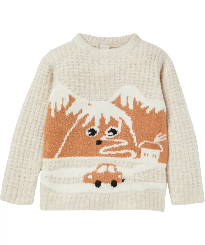 Sweter