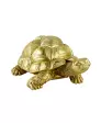 Goudkleurige Schildpad Decoratie