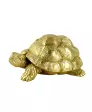 Goudkleurige Schildpad Decoratie