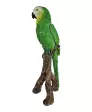 Papegaai op boomstam Decoratie