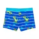 Badeshorts T-Rex