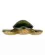 maritime-deko-schildkroete-gruen-120134618070_1807_NB_H_KIK_01.jpg