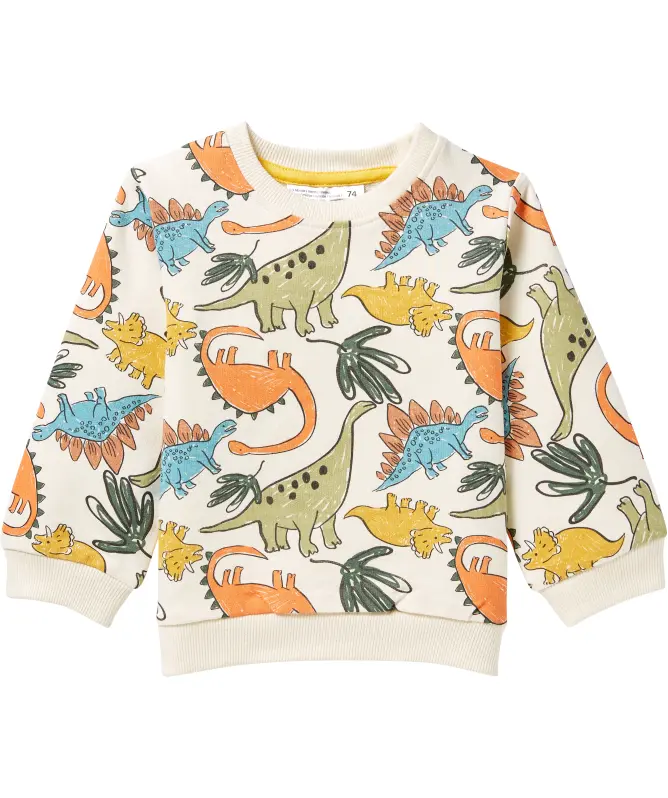 Bluza