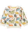 babys-sweatshirt-mit-buntem-dinomuster-hellorange-120145017000_1700_HB_L_EP_01.jpg