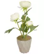 kunstblume-ranunkel-weiss-120156112000_1200_HB_H_EP_01.jpg