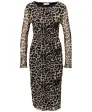 Meshkleid Leo