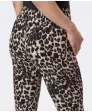 Bengalinhose Leo