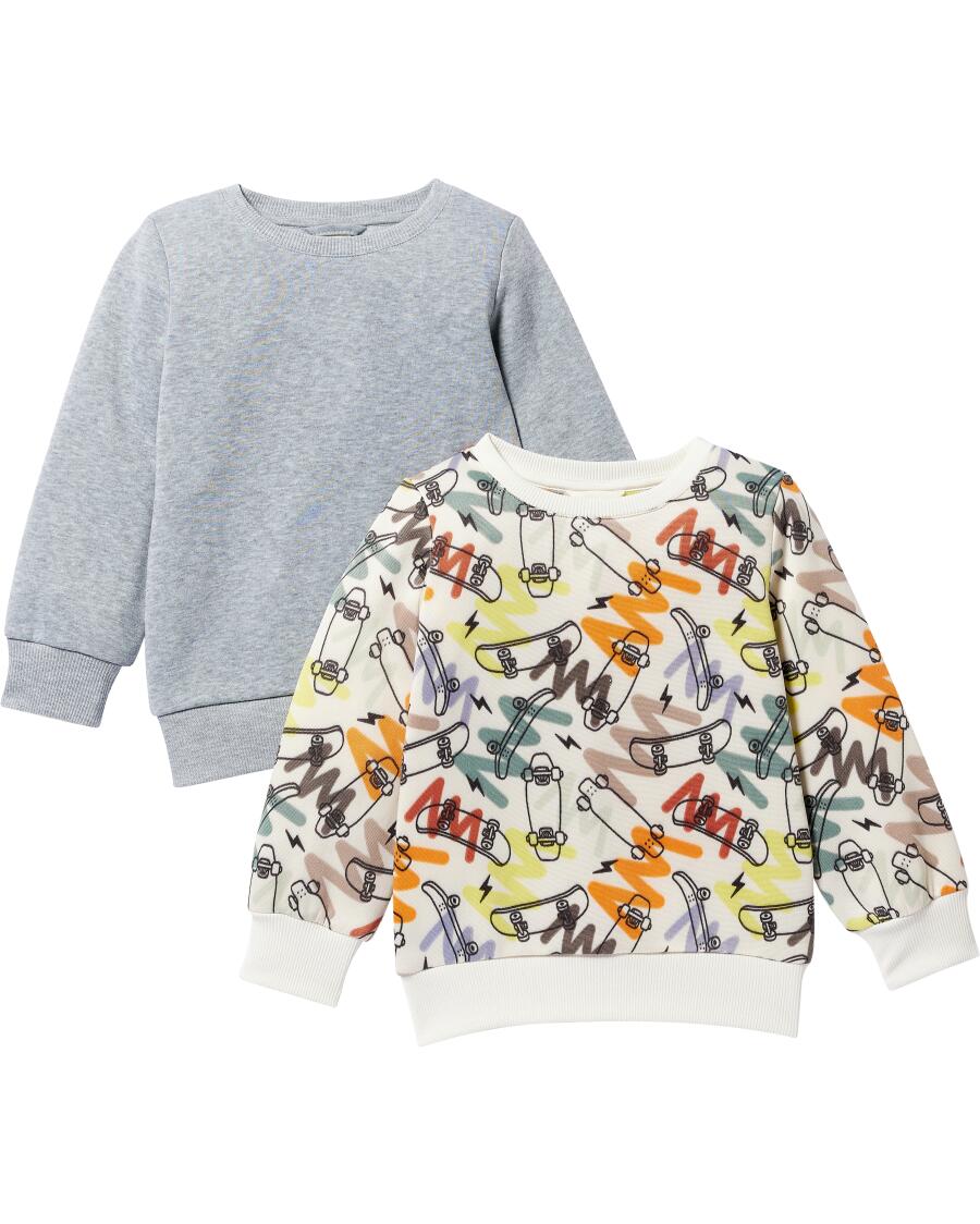 Sweatshirts Skateboards grau/offwhite
