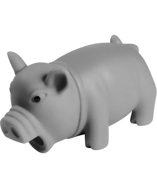 Hundespielzeug Schwein