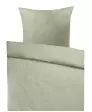 zelená