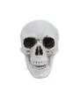 Deko-Schädel Halloween
