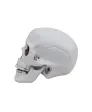 Deko-Schädel Halloween