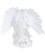 transparent