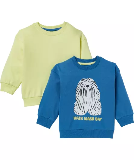 Sweatshirts Hund
