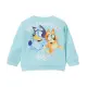 Bluey sweatshirt