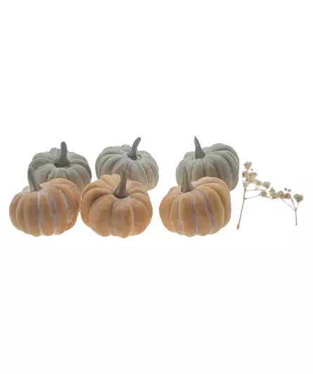 Deko-Kürbisse Herbst