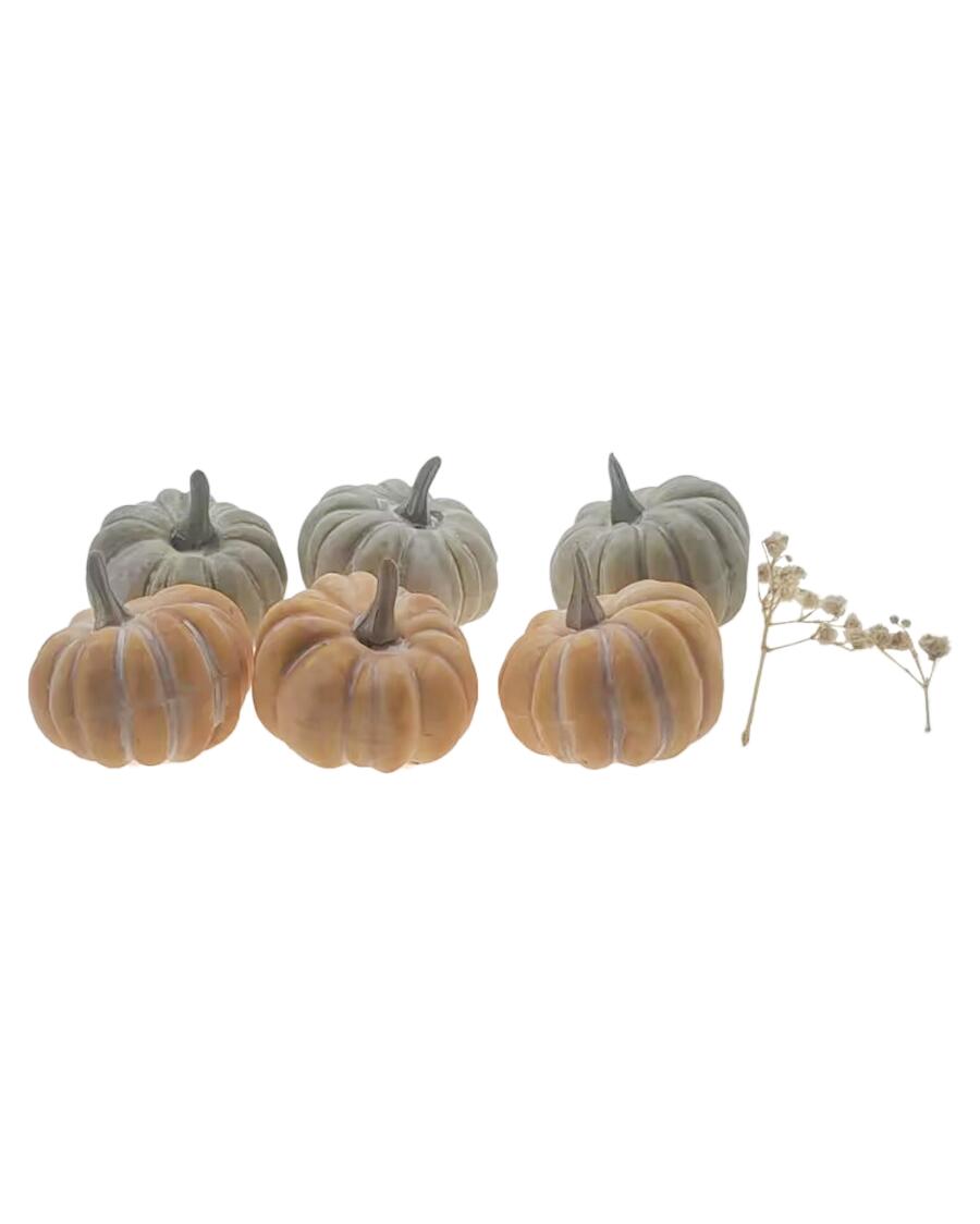 Deko-Kürbisse Herbst bunt