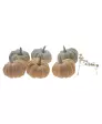 Decoratieve pompoenen Herfst