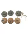 Decoratieve pompoenen Herfst