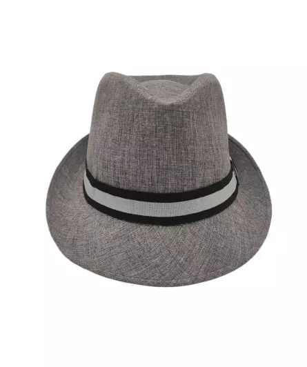 Hut im Fedora-Stil