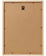Wandbild Teddyfell
