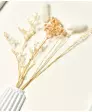 Wandbild Trockenblumen