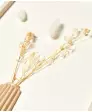 Wandbild Trockenblumen