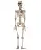 Deko-Skelett Halloween Beige