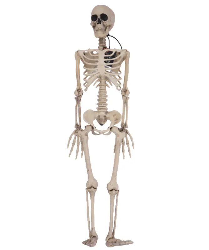 Deko-Skelett Halloween