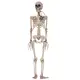 Deko-Skelett Halloween