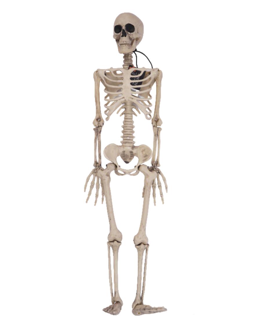 Deko-Skelett Halloween Beige