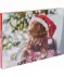 Adventskalender voor honden kleurrijk
