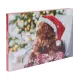 Adventskalender voor honden