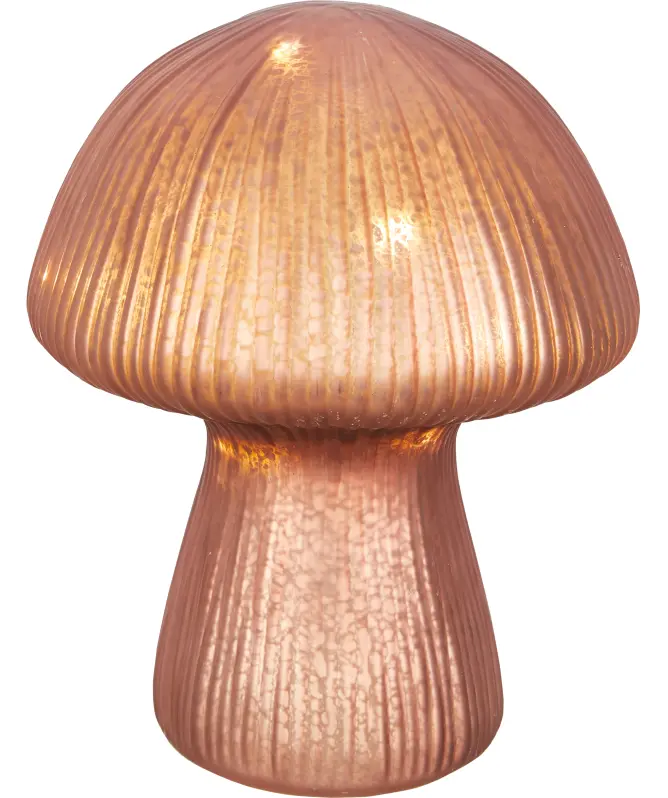 LED-Pilz Herbst