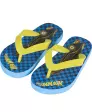 Teenslippers Licentie