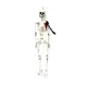 Deko-Skelett Halloween